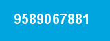 9589067881 9589067881