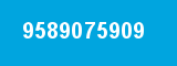 9589075909