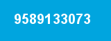 9589133073