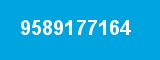 9589177164