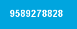 9589278828