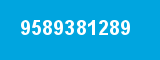 9589381289