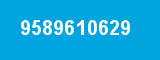 9589610629