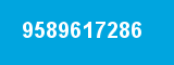 9589617286