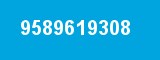 9589619308
