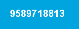 9589718813