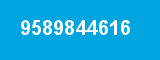 9589844616