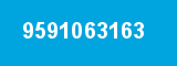 9591063163