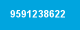9591238622