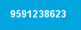 9591238623