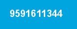 9591611344