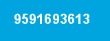 9591693613