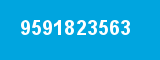 9591823563