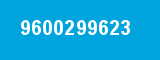 9600299623