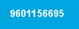 9601156695