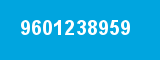 9601238959 9601238959