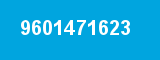 9601471623