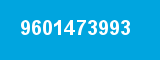 9601473993