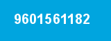 9601561182 9601561182
