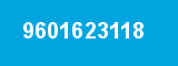 9601623118