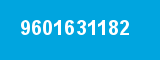 9601631182 9601631182