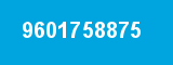 9601758875
