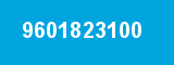 9601823100
