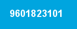 9601823101