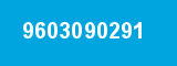 9603090291 9603090291