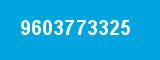 9603773325