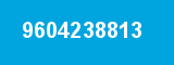 9604238813