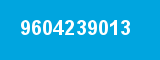 9604239013 9604239013