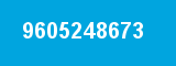 9605248673