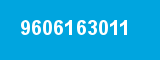 9606163011