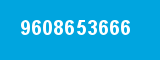 9608653666