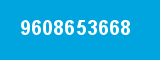 9608653668