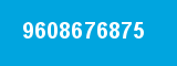 9608676875 9608676875