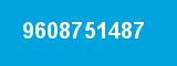 9608751487