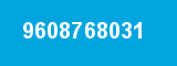 9608768031