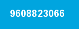 9608823066