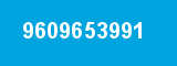 9609653991