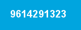 9614291323