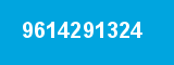 9614291324