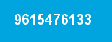 9615476133