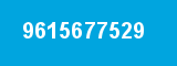 9615677529