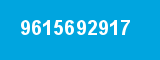 9615692917