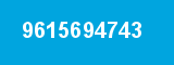 9615694743