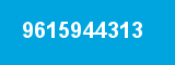 9615944313 9615944313
