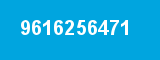 9616256471