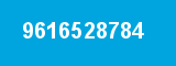 9616528784